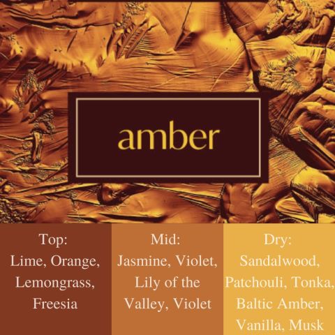 Frais Fragrance Oil - Amber 