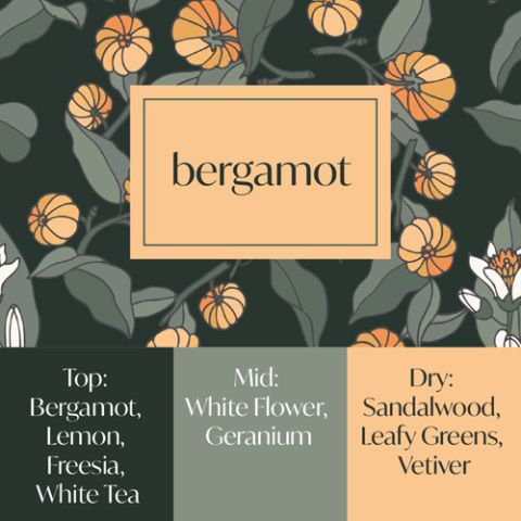Frais Fragrance Oil - Bergamot 