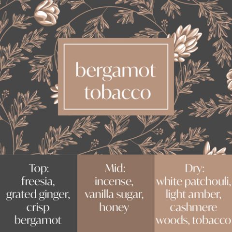 Frais Fragrance Oil - Bergamot & Tobacco 