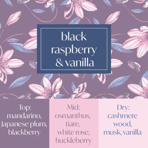 Frais Fragrance Oil - Black Raspberry & Vanilla 