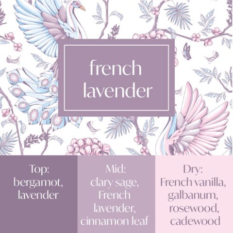 Frais Fragrance Oil - French Lavender 
