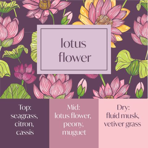 Frais Fragrance Oil - Lotus Flower 