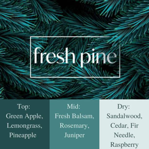 Frais Fragrance Oil - Fresh Pine 