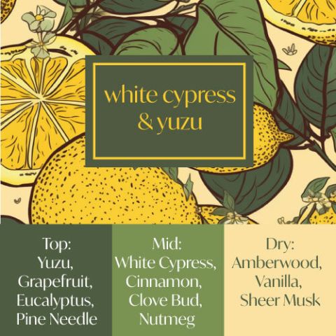 Frais Fragrance Oil - White Cypress & Yuzu 