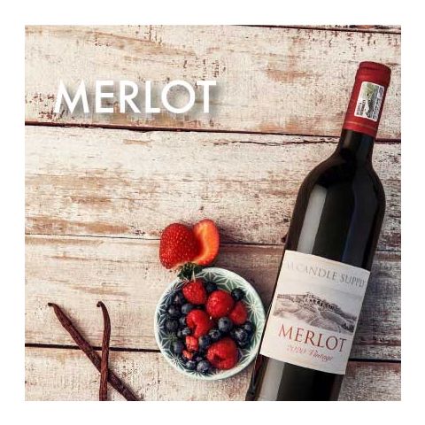 Fragrance Oil - Merlot 