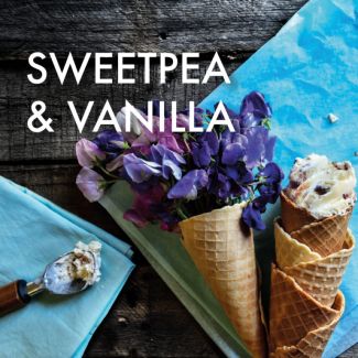 Fragrance Oil - Sweetpea & Vanilla 