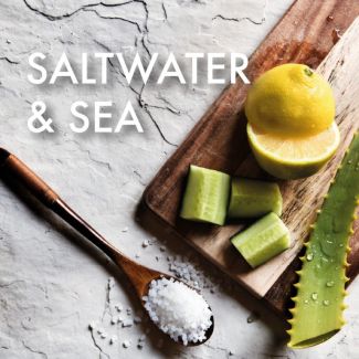Fragrance Oil - Saltwater & Sea 