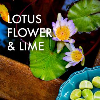 Fragrance Oil - Lotus Flower & Lime 