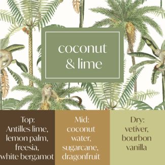 Frais Fragrance Oil - Coconut & Lime 