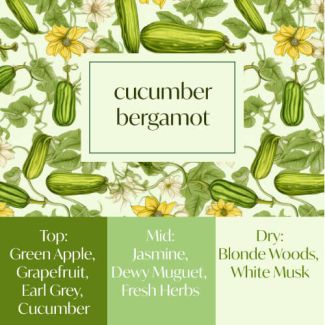 Frais Fragrance Oil - Cucumber Bergamot 