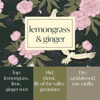 Frais Fragrance Oil - Lemongrass & Ginger 