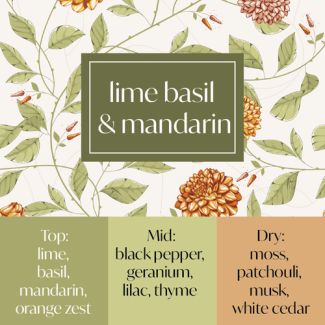 Frais Fragrance Oil - Lime, Basil & Mandarin