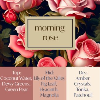Frais Fragrance Oil - Morning Rose 