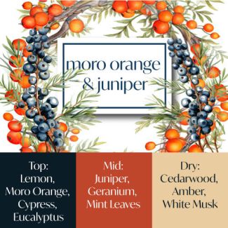 Frais Fragrance Oil - Moro Orange & Juniper 