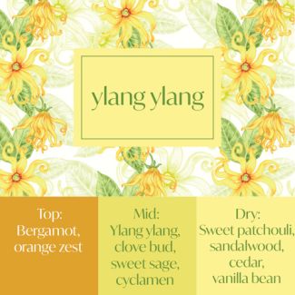 Frais Fragrance Oil - Ylang Ylang 