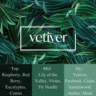 Frais Fragrance Oil - Vetiver 